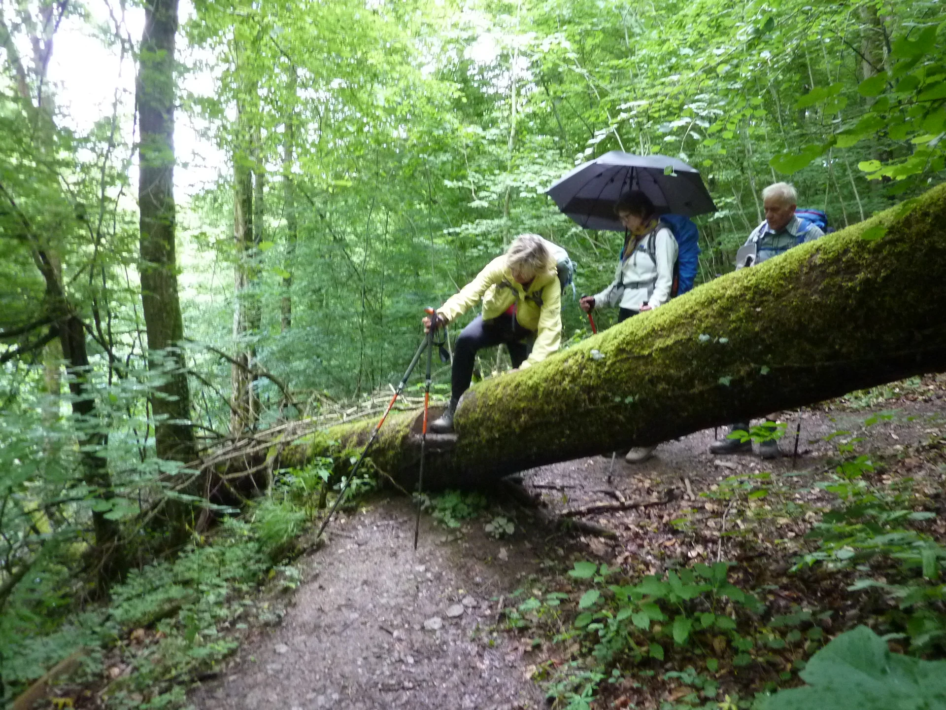 Das letzte Hindernis | © DAV Koblenz
