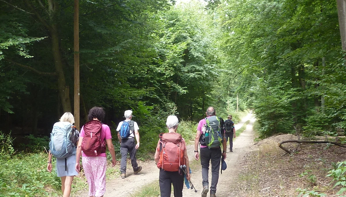 Weg Richtung Rheingauer Gebück | © DAV Koblenz