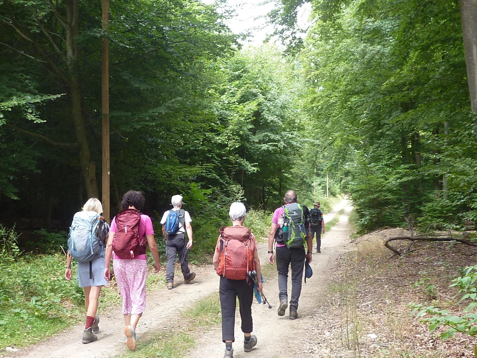 Weg Richtung Rheingauer Gebück | © DAV Koblenz