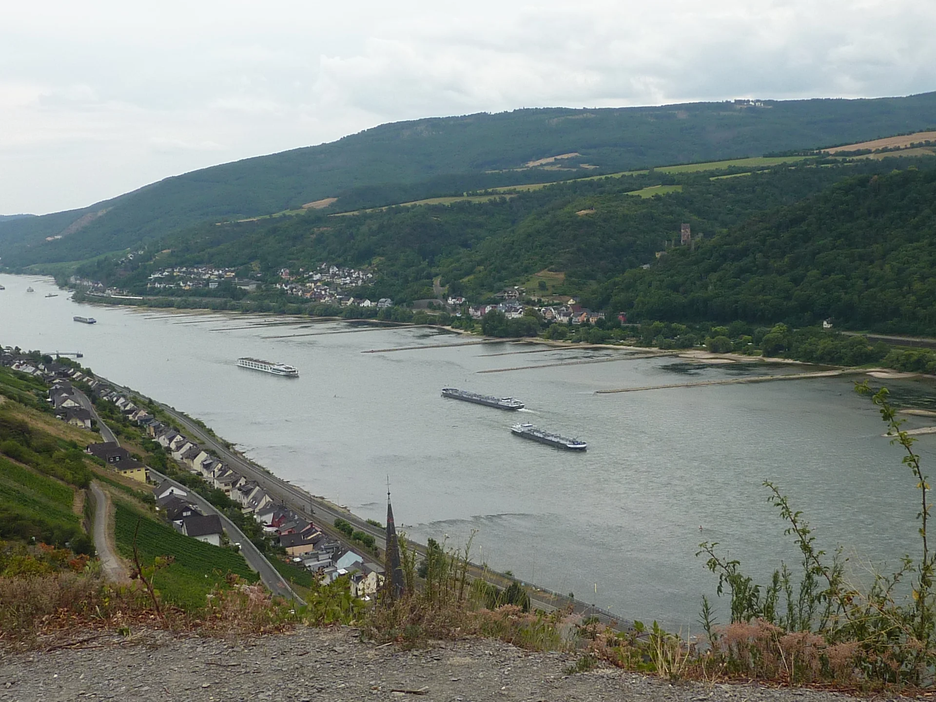 Ausblick Rheinaufwärts | © DAV Koblenz