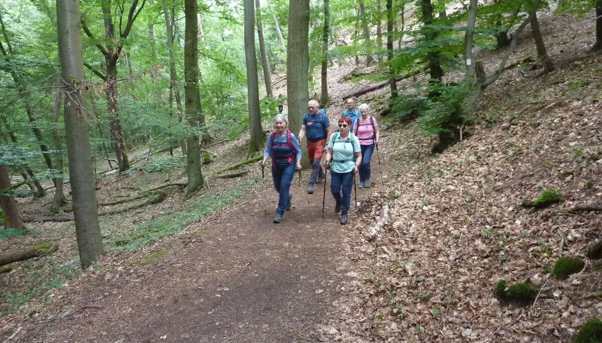 Weg im NSG Gans | © DAV Koblenz