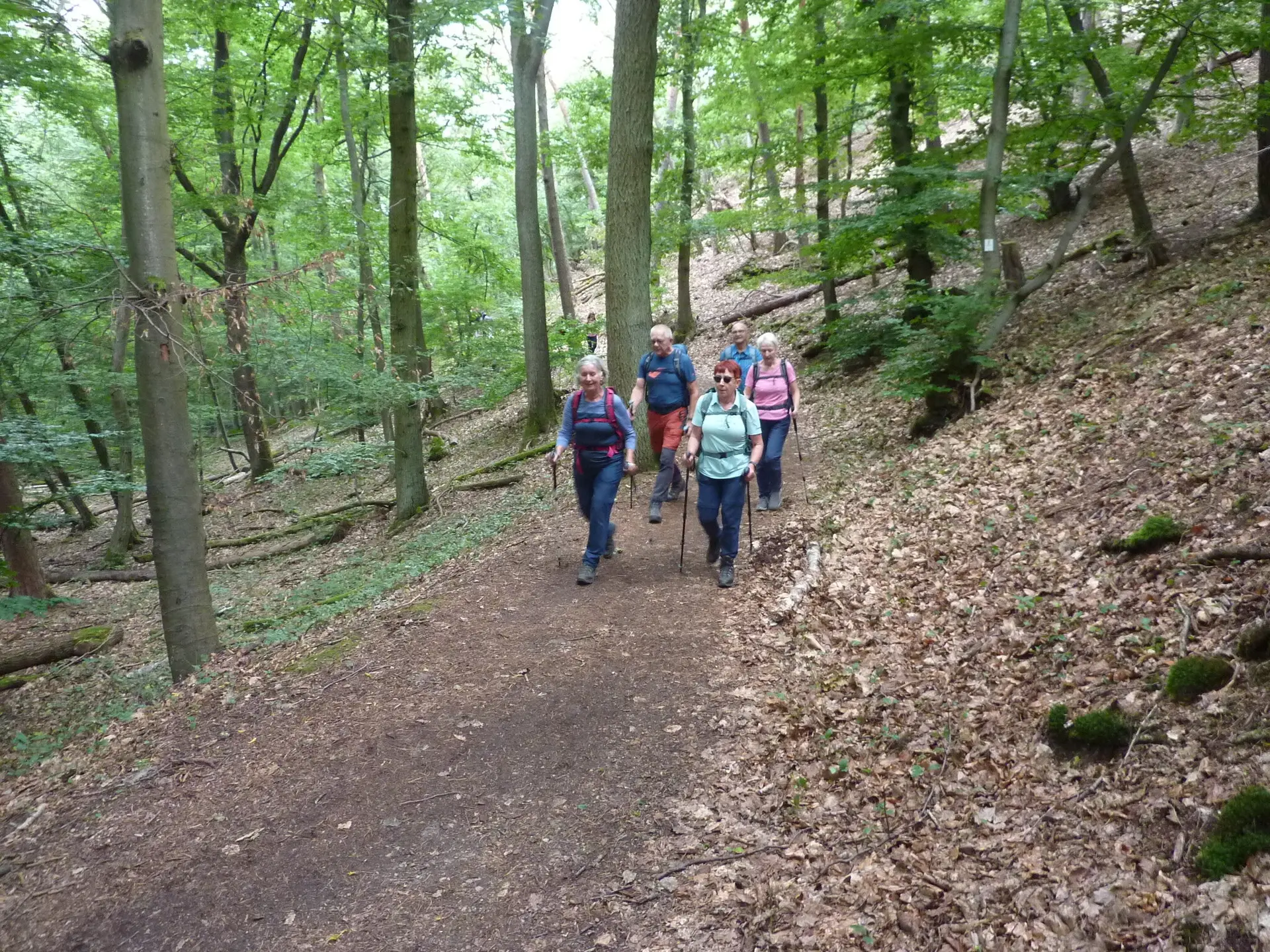 Weg im NSG Gans | © DAV Koblenz