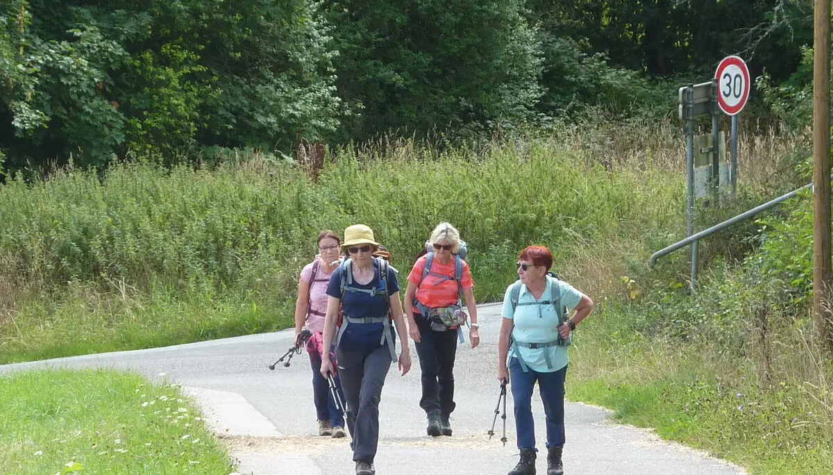 Weg zum Skulpturenpark | © DAV Koblenz