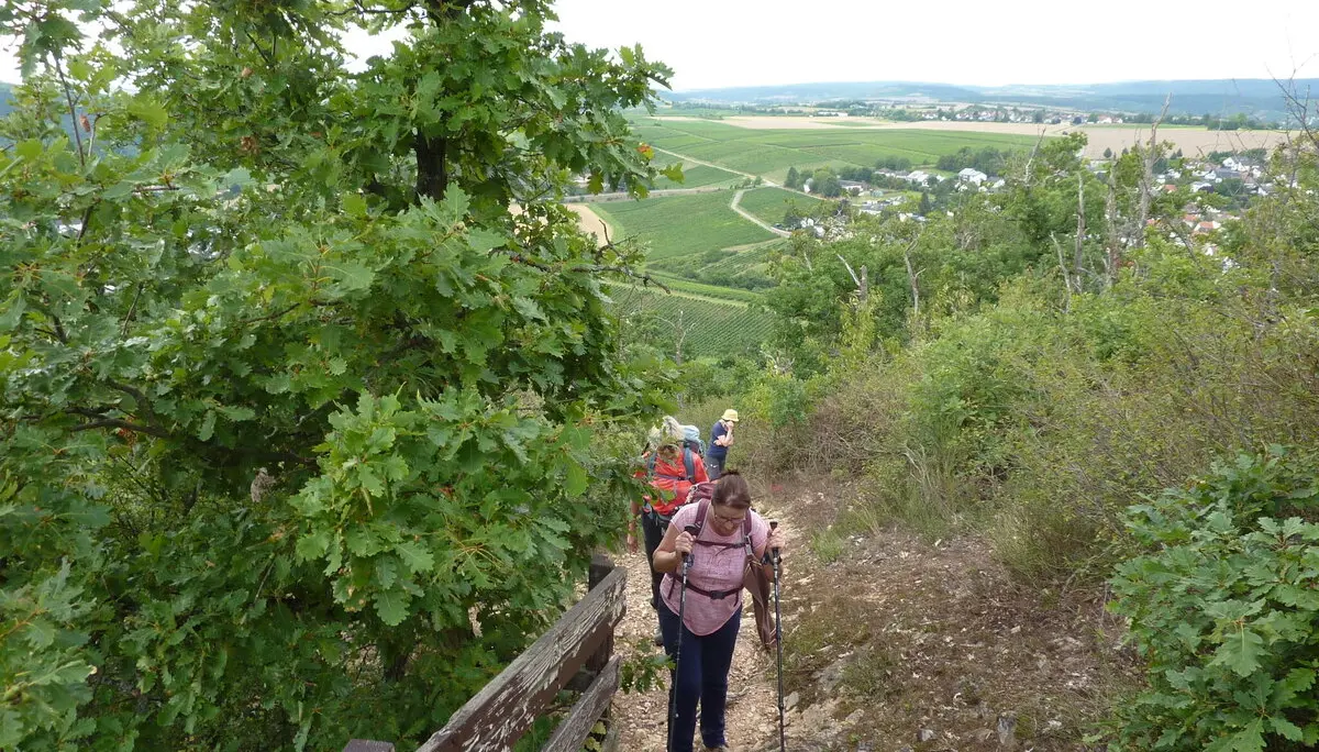 Ein kleiner Felsensteig | © DAV Koblenz
