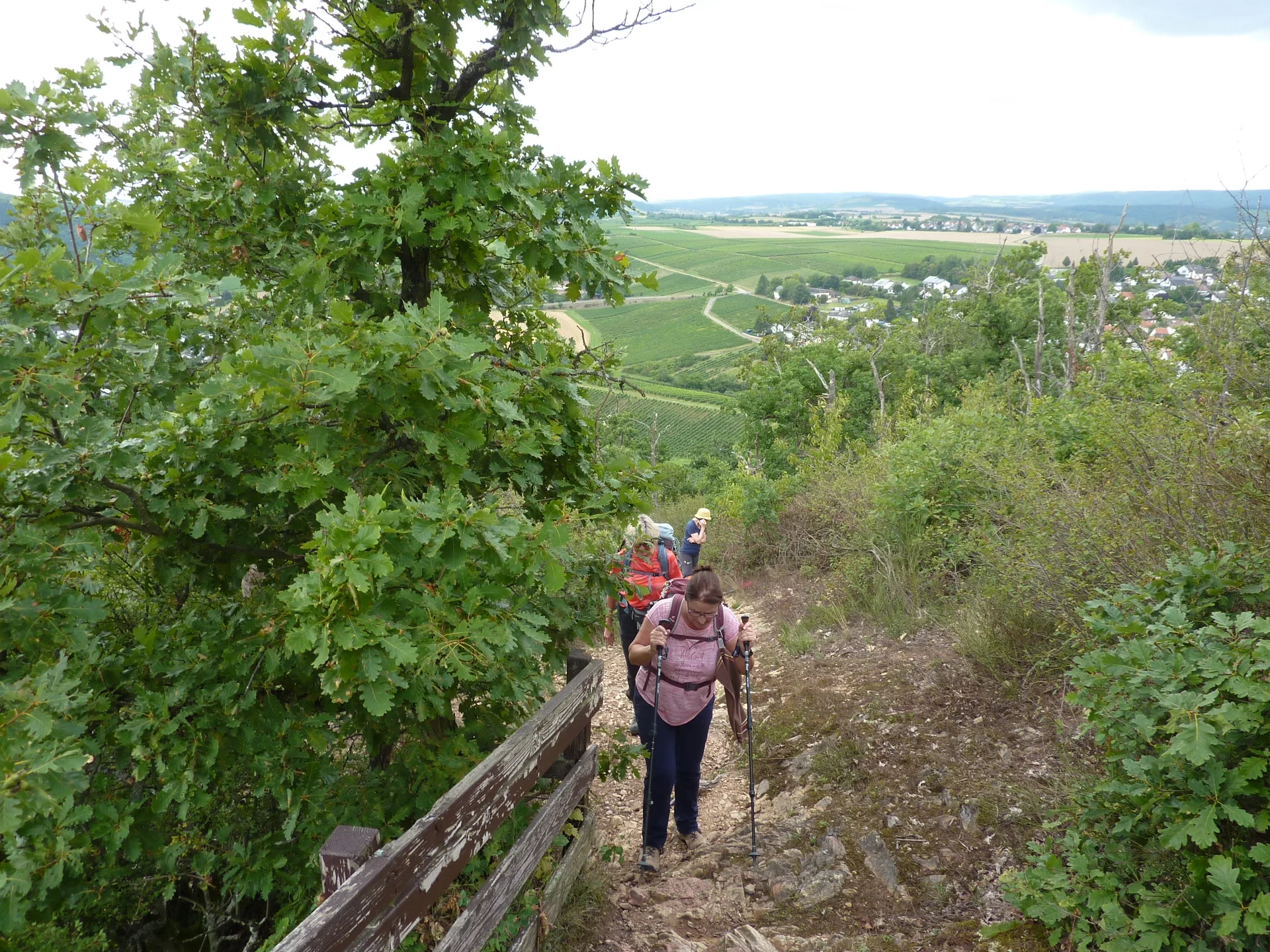 Ein kleiner Felsensteig | © DAV Koblenz
