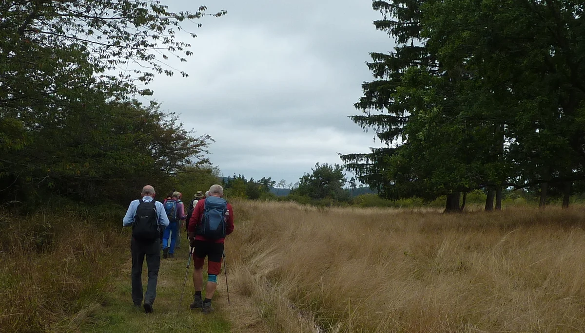 Einstieg Blumenrather Heide | © DAV Koblenz