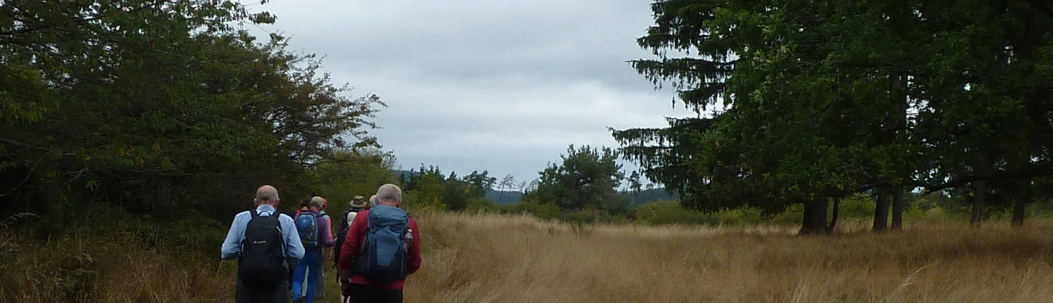 Einstieg Blumenrather Heide | © DAV Koblenz