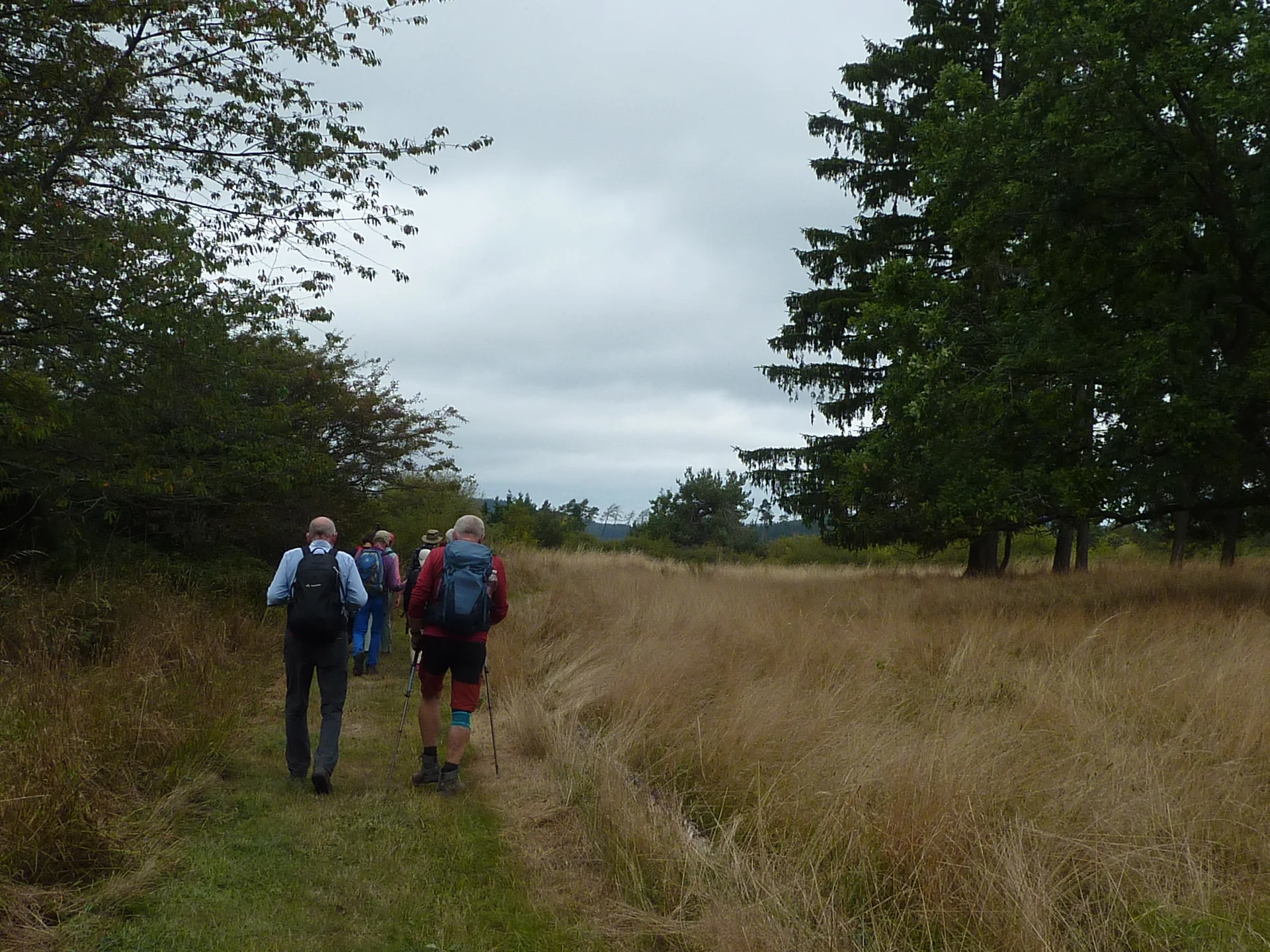 Einstieg Blumenrather Heide | © DAV Koblenz