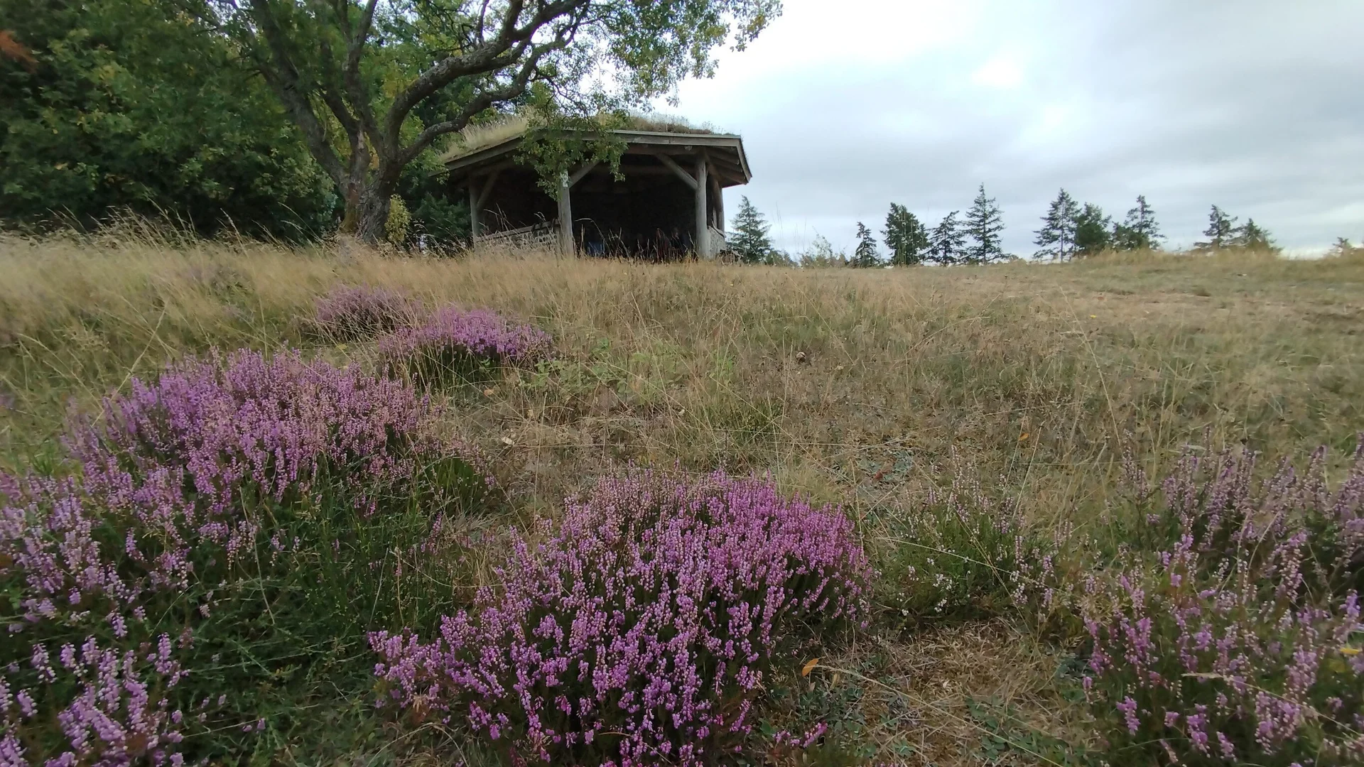 Hütte zur Mittagspause | © DAV Koblenz