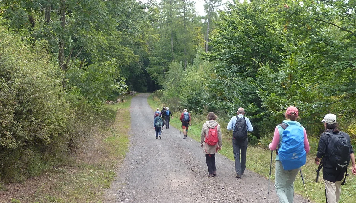 Auf dem Wanderweg | © DAV Koblenz