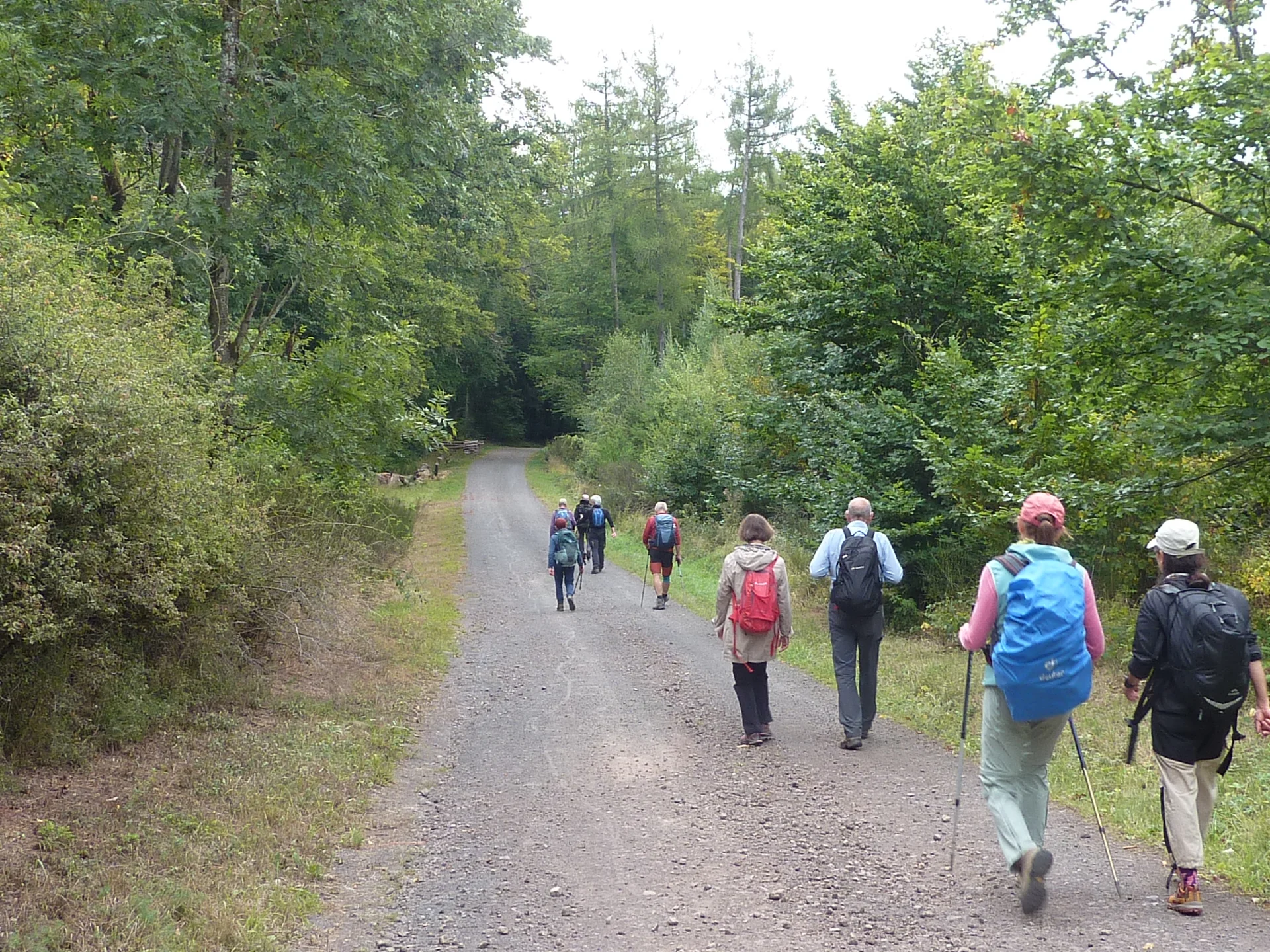 Auf dem Wanderweg | © DAV Koblenz