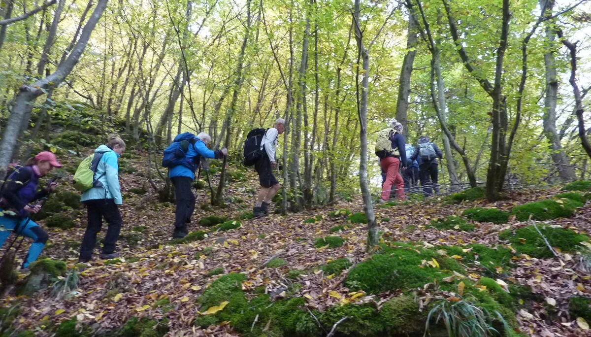 Aufstieg zum Wanderstart | © DAV Koblenz