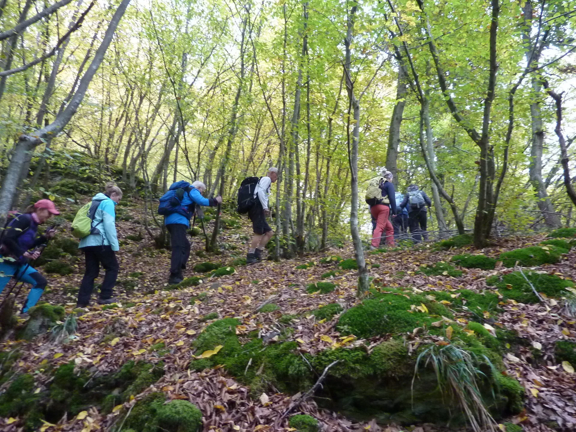 Aufstieg zum Wanderstart | © DAV Koblenz