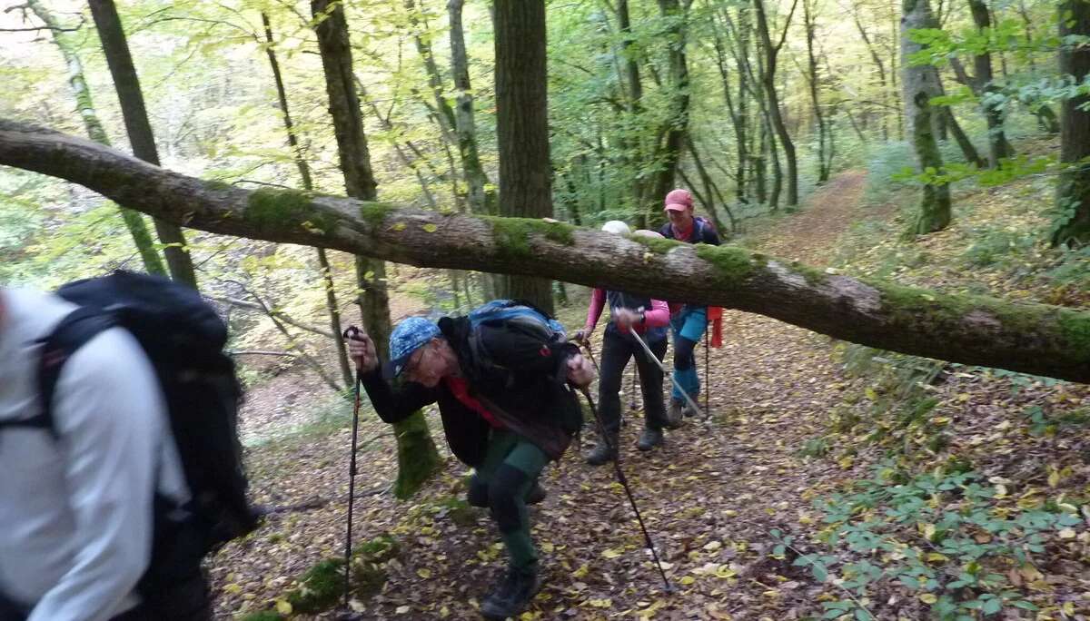 Für uns kein Hindernis | © DAV Koblenz