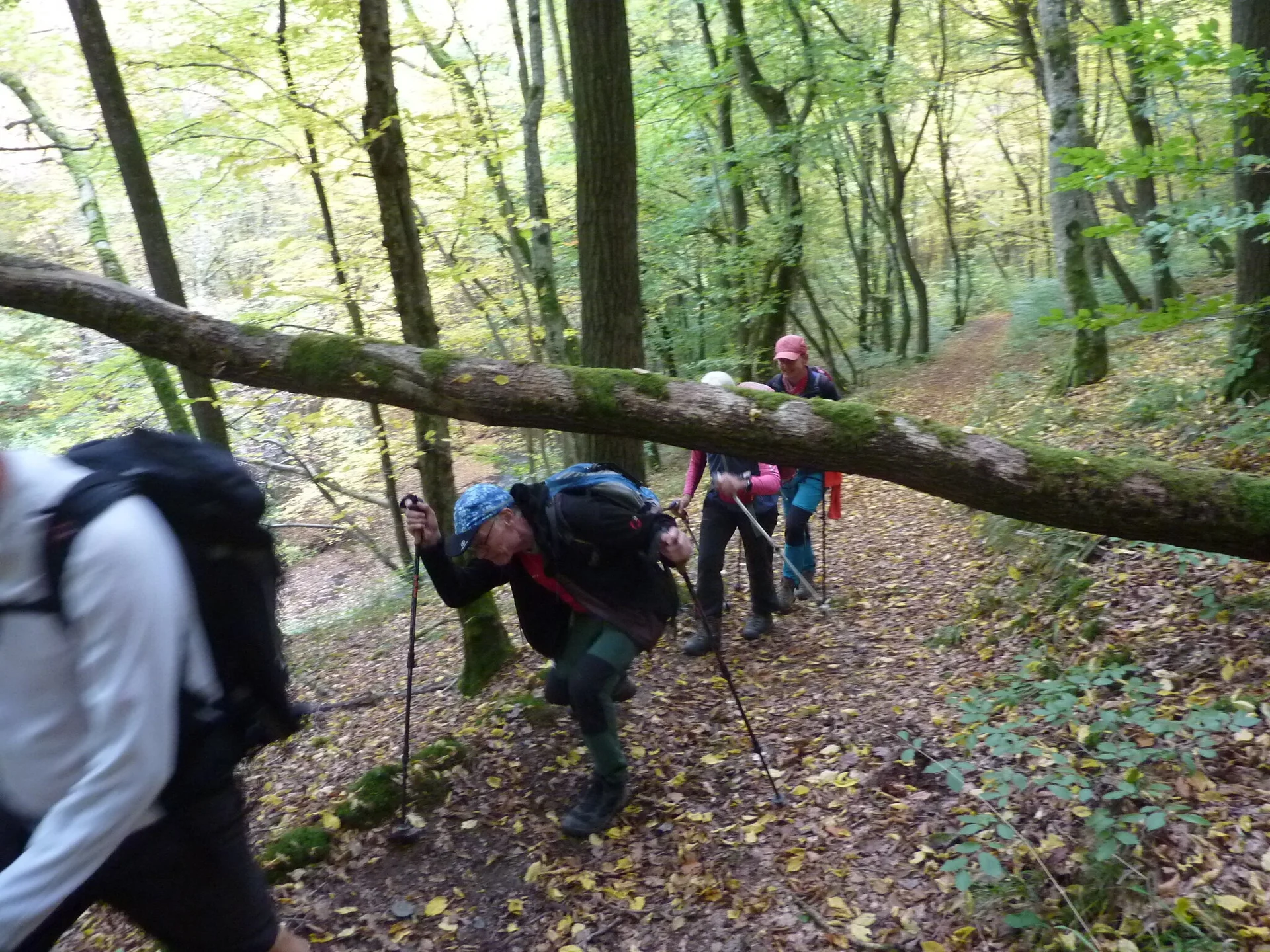 Für uns kein Hindernis | © DAV Koblenz