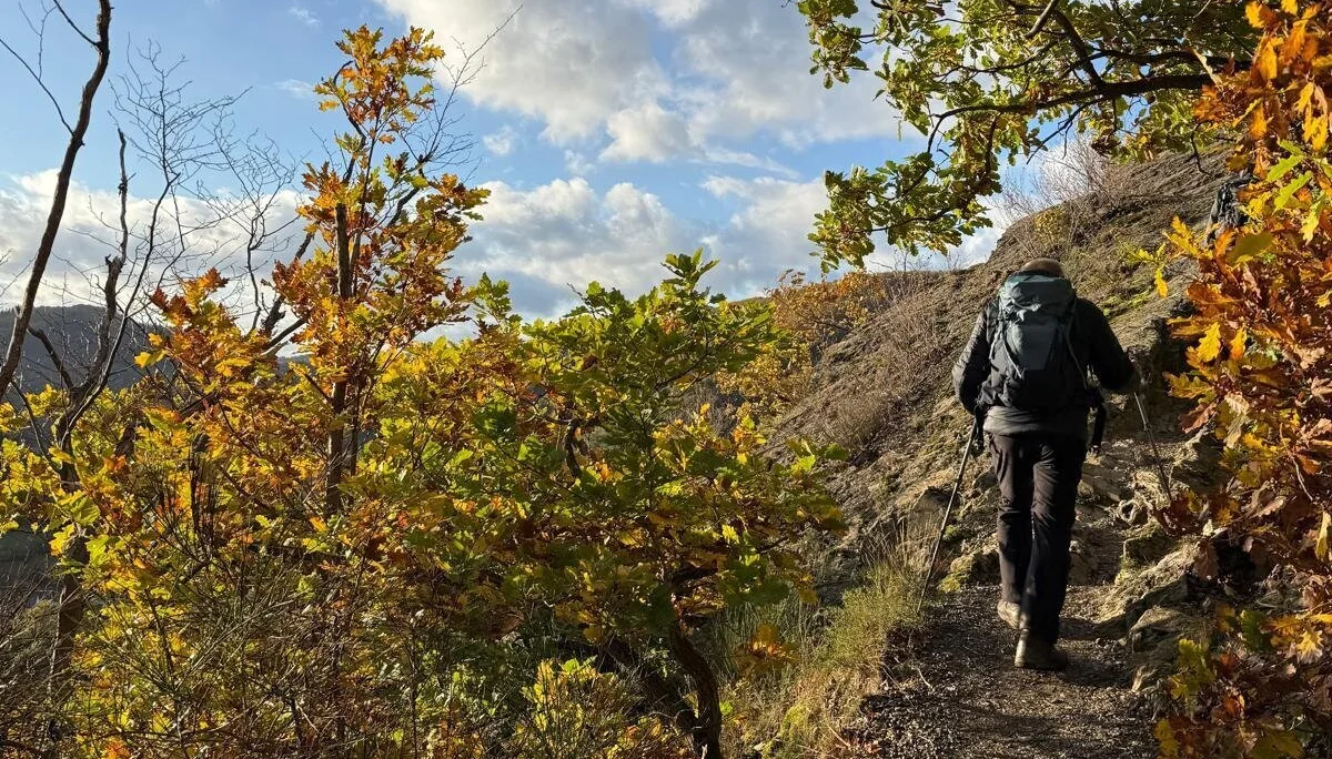 Gipfelweg in herbstlicher Atmosphäre | © DAV Koblenz