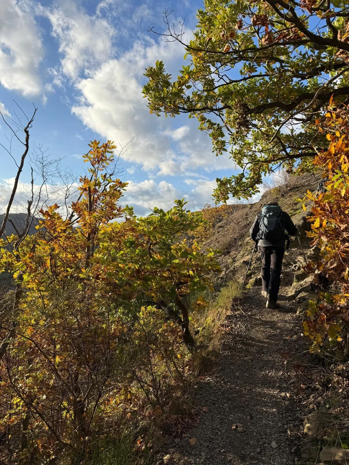Gipfelweg in herbstlicher Atmosphäre | © DAV Koblenz