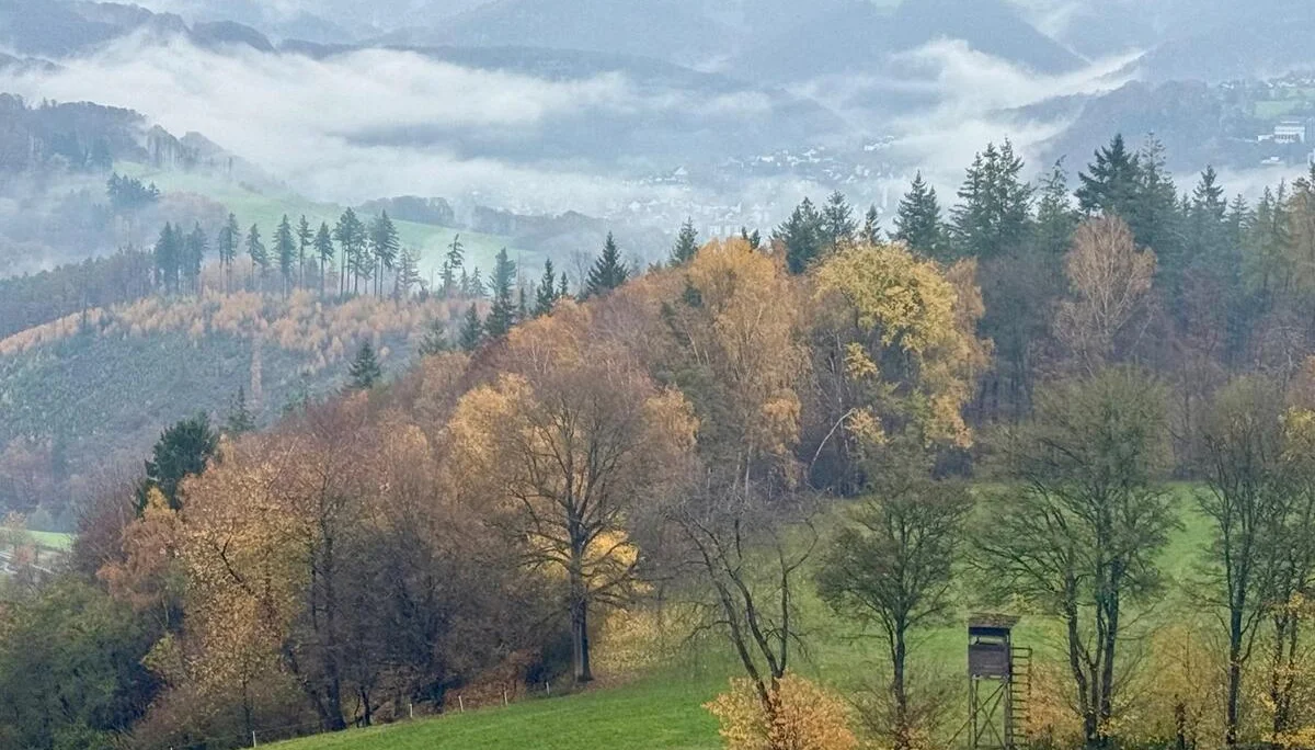 Bizarre Landschaft | © DAV Koblenz