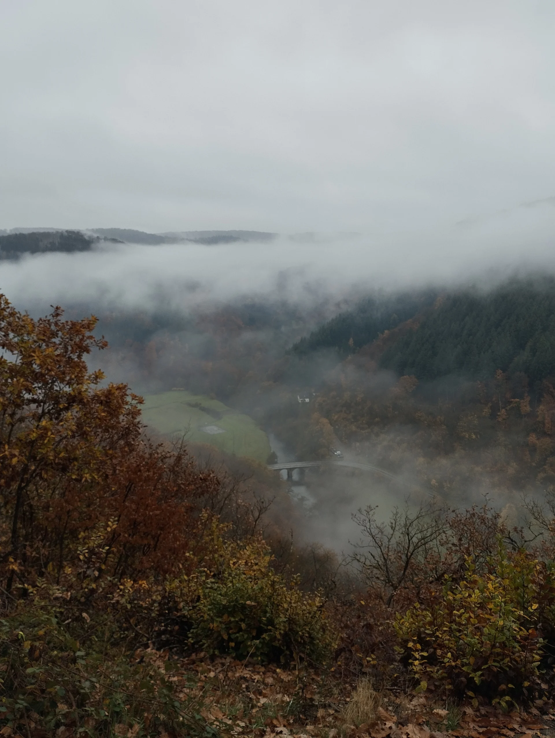 Sicht auf den Parkplatz im Nebel | © DAV Koblenz