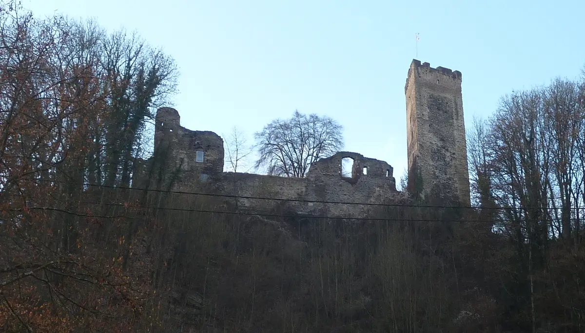 Blick auf Ruine Grenzau | © DAV Koblenz