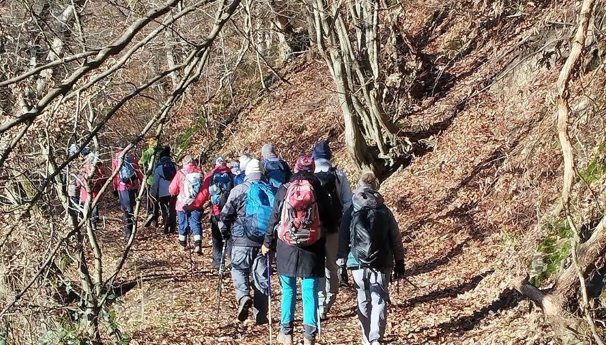 Auf dem Brexbachschluchtweg | © DAV Koblenz