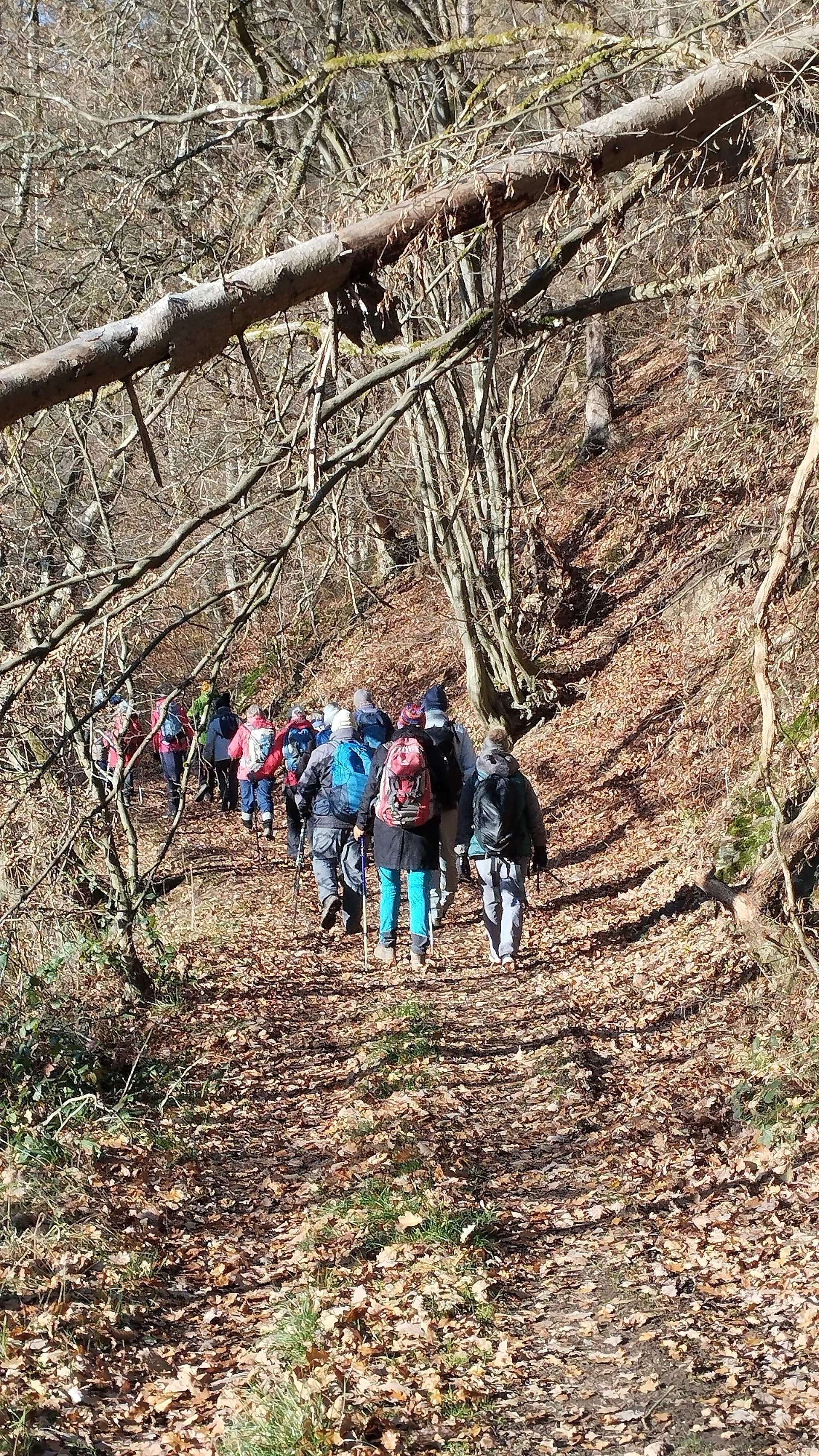 Auf dem Brexbachschluchtweg | © DAV Koblenz