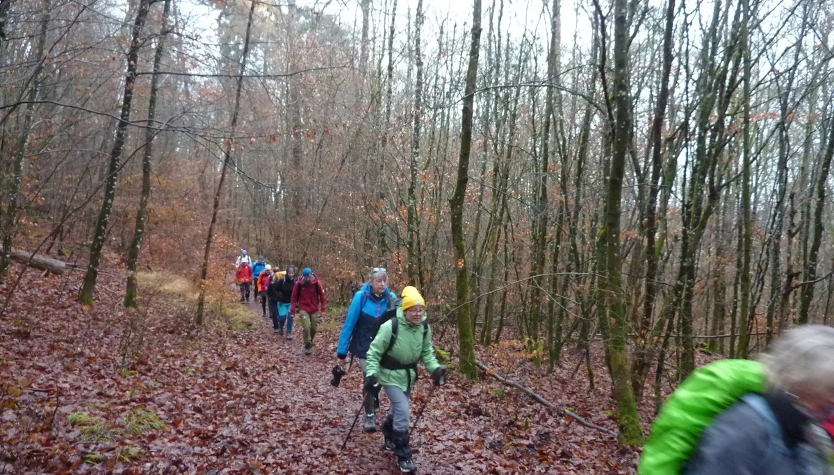 Durch Wald und Flur... | © DAV Koblenz