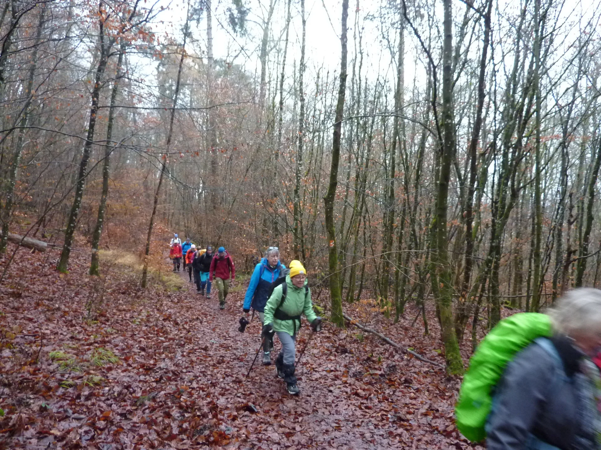 Durch Wald und Flur... | © DAV Koblenz