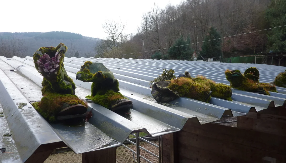 Schuhe mal anders | © DAV Koblenz