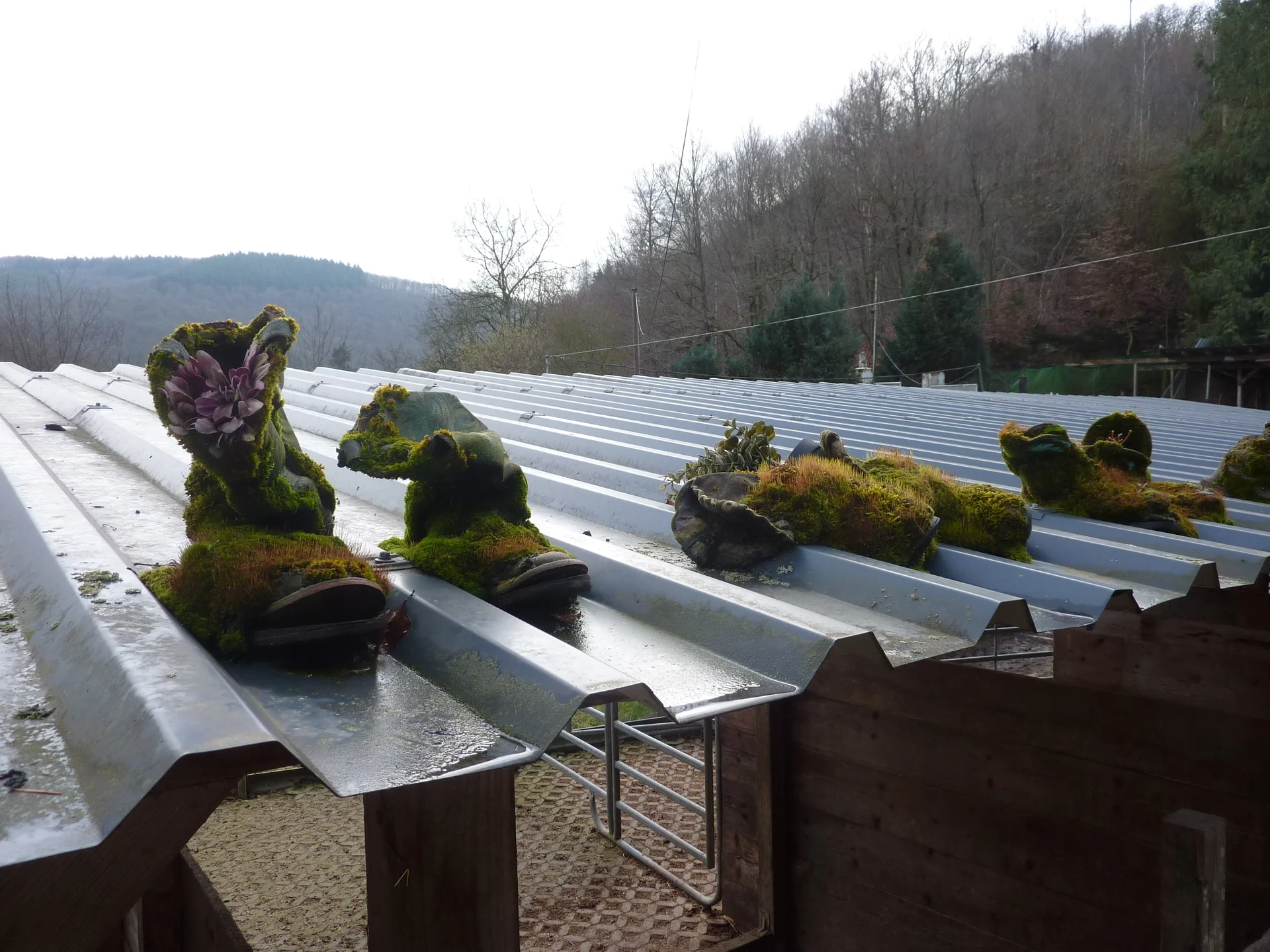 Schuhe mal anders | © DAV Koblenz