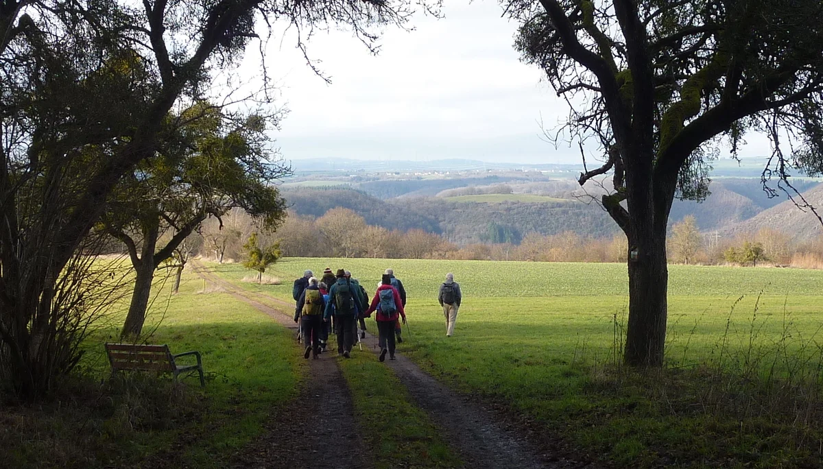 Weite Sicht in Richtung Moseltal | © DAV Koblenz