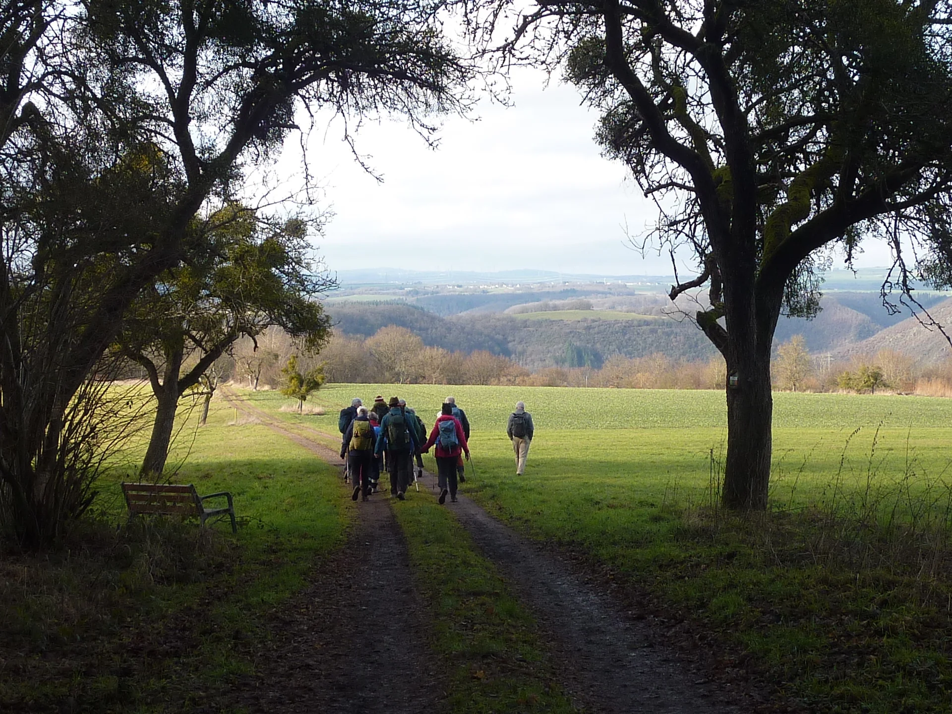 Weite Sicht in Richtung Moseltal | © DAV Koblenz