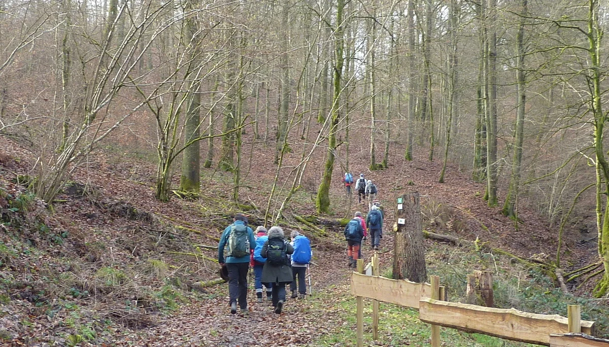 Aufwärts im Treisbachtal | © DAV Koblenz