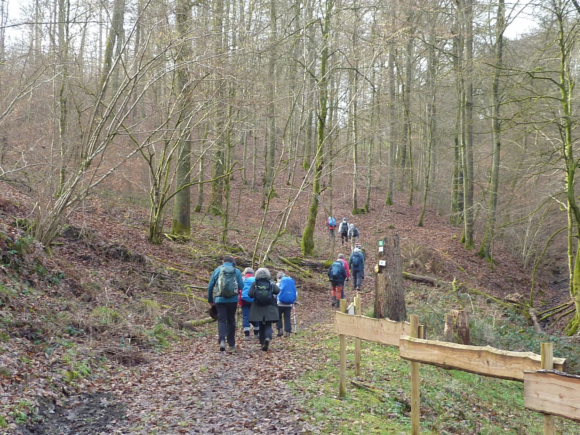 Aufwärts im Treisbachtal | © DAV Koblenz