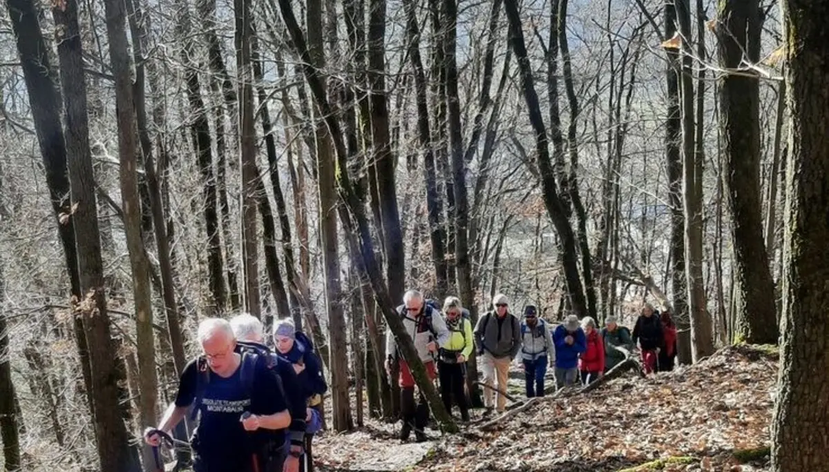 Immer dem Wanderleiter nach | © DAV Koblenz