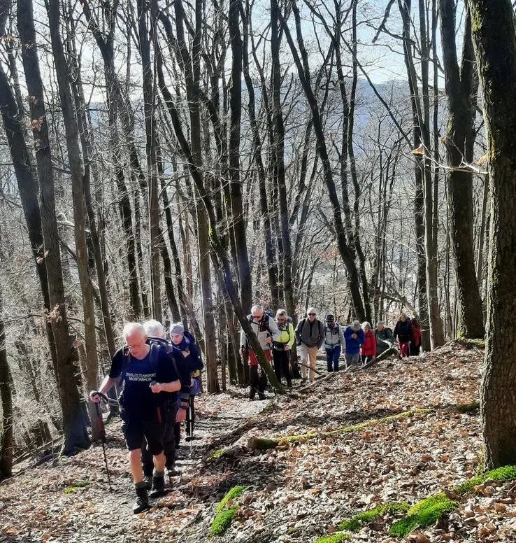 Immer dem Wanderleiter nach | © DAV Koblenz