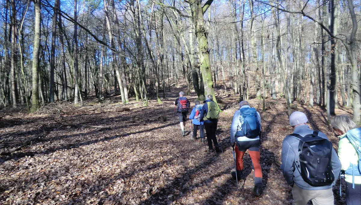 Aufsteig zum Aussichtspunkt | © DAV Koblenz