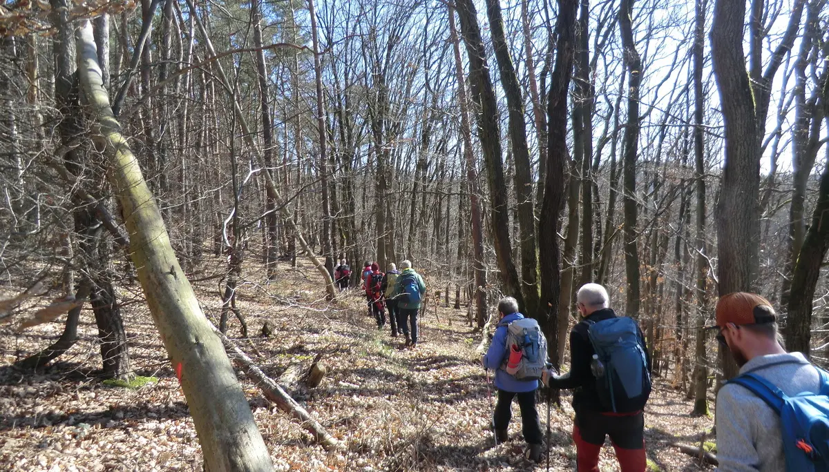 Entlang der Bergrippe | © DAV Koblenz