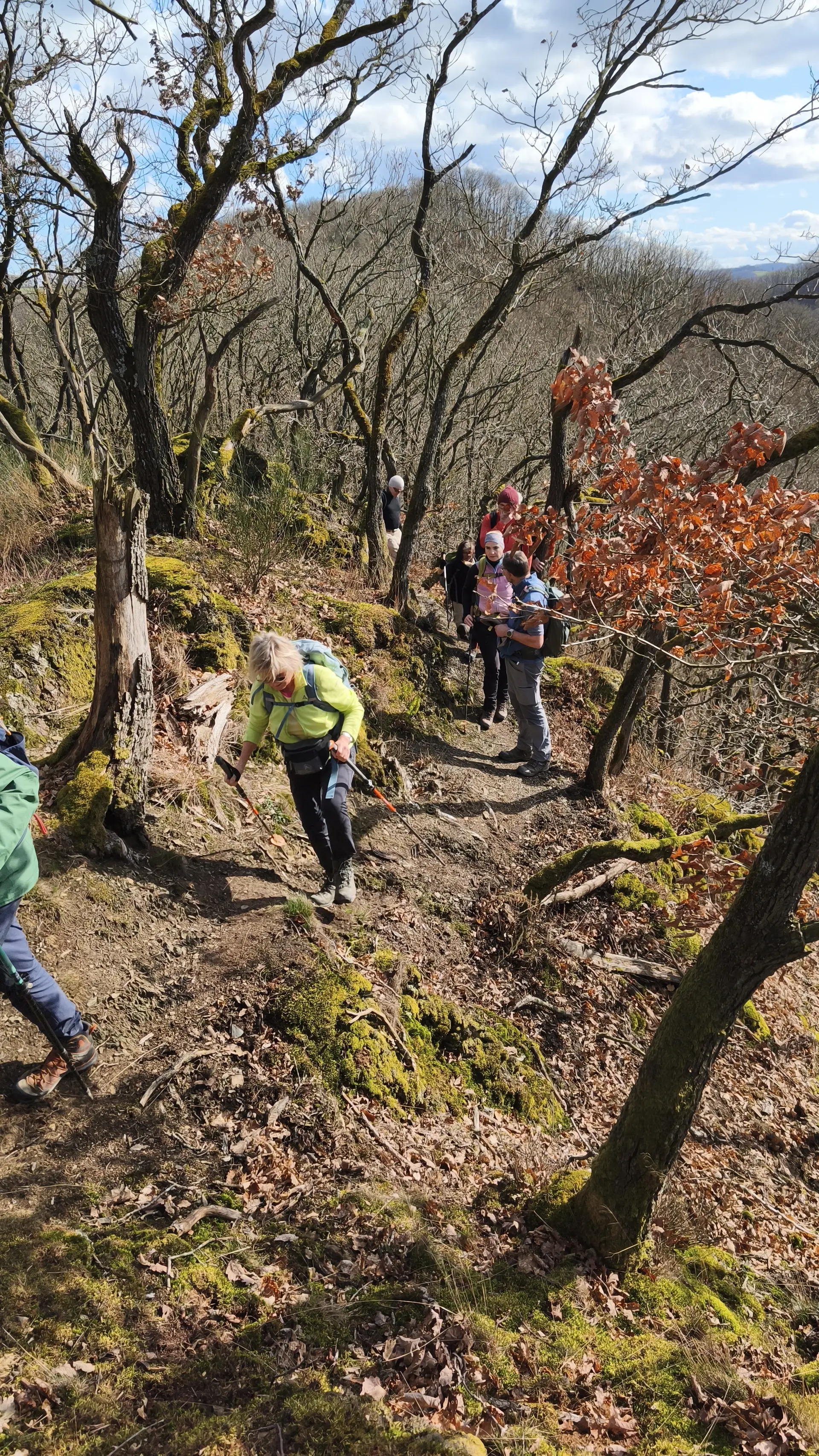 Auf dem Anxbacher Höhenweg | © DAV Koblenz