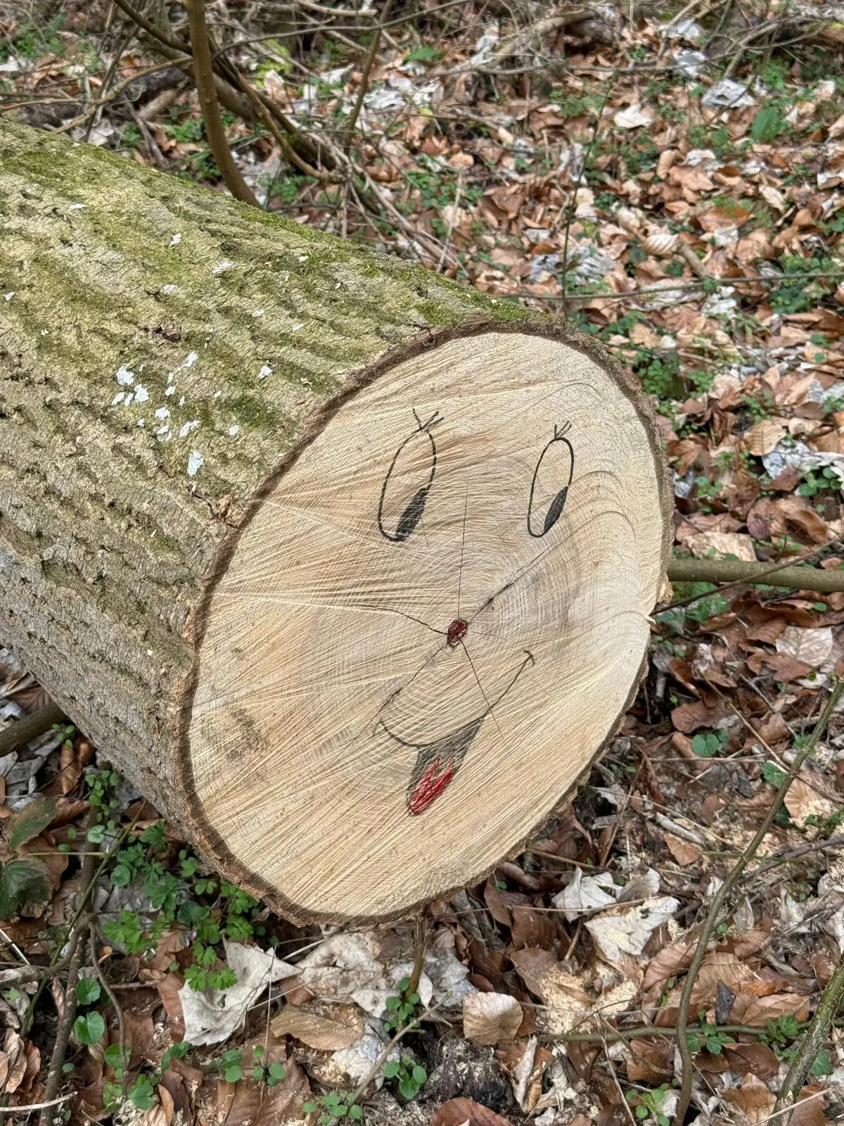 Wir fühlten uns beobachtet  | © DAV Koblenz