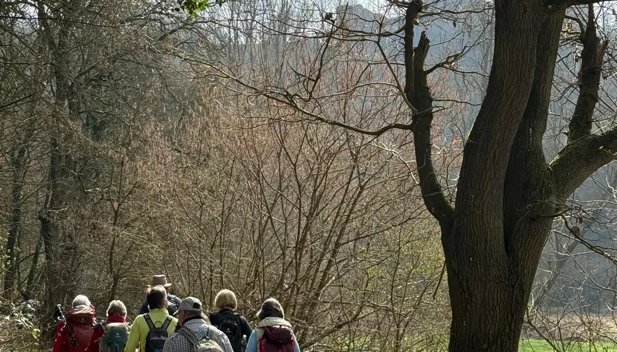 Auf dem Weg zur Burgruine | © DAV Koblenz