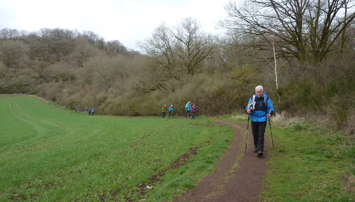 Abstieg vom Bellberg | © DAV Koblenz