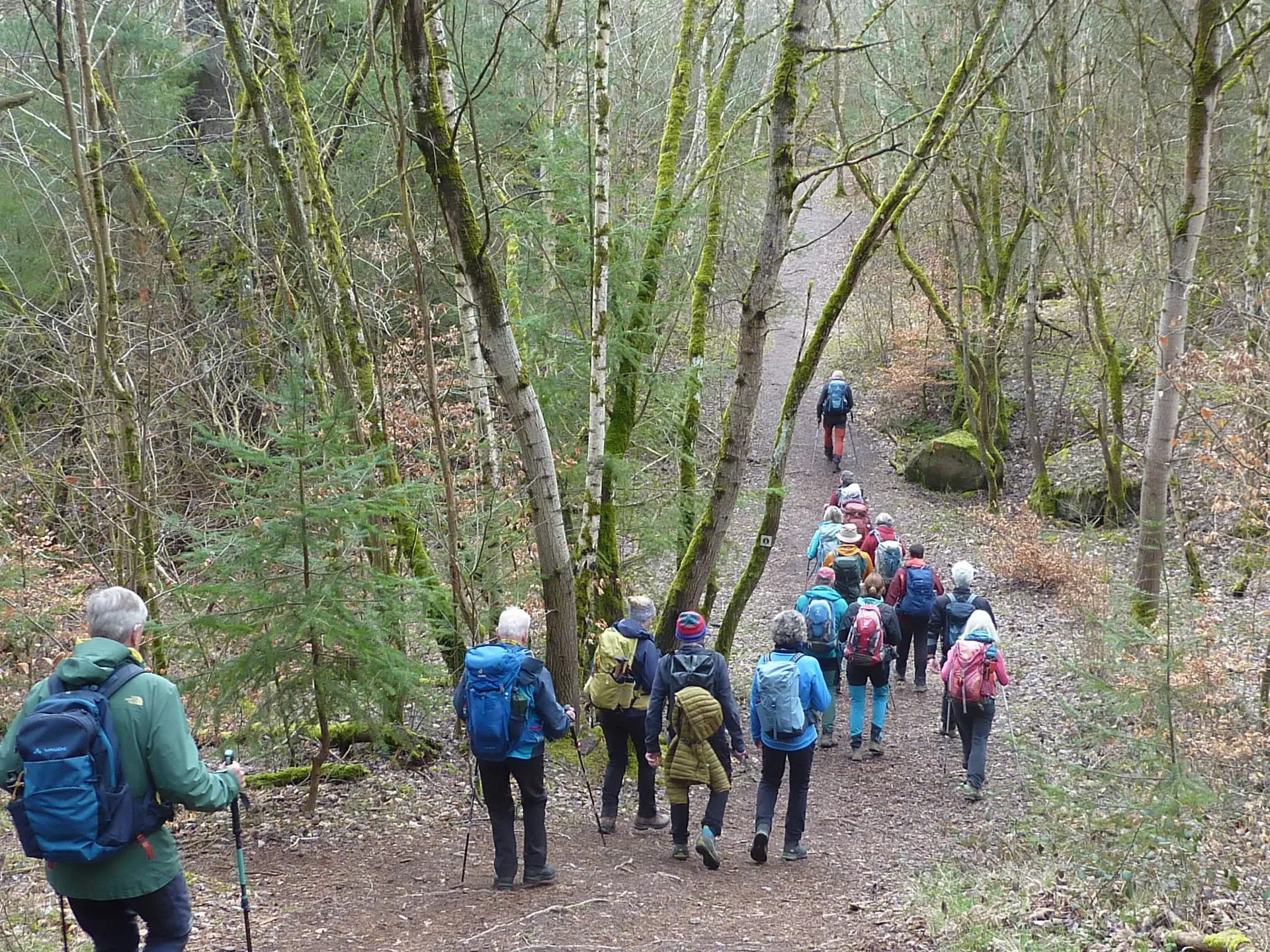 Durch das Ettriger Klettergebiet | © DAV Koblenz