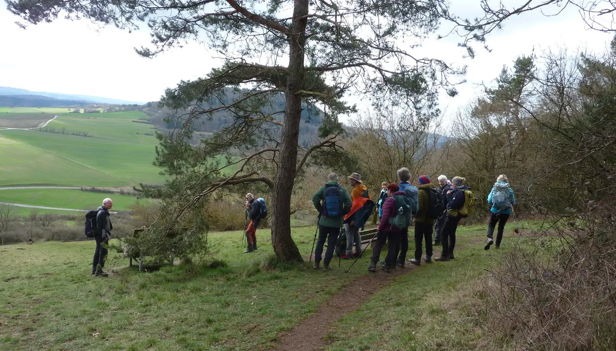 Aussicht am Hochstein | © DAV Koblenz