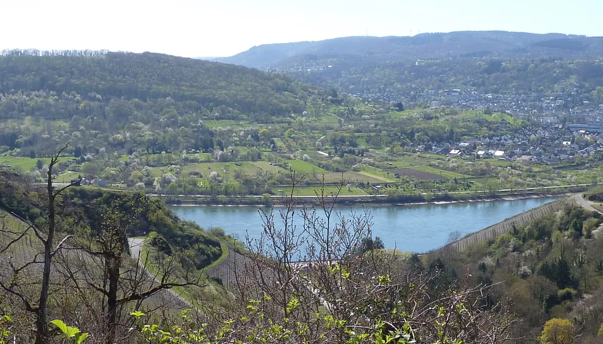 Aussicht auf den Rhein vom Jakobsberg | © DAV Koblenz