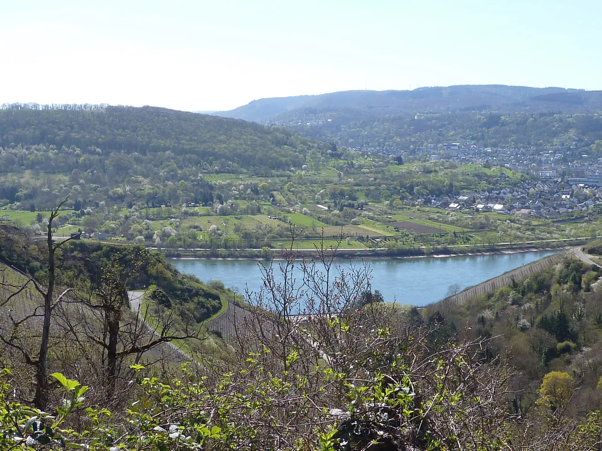 Aussicht auf den Rhein vom Jakobsberg | © DAV Koblenz
