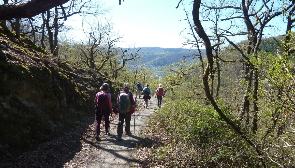 Weg Richtung Rheintal | © DAV Koblenz