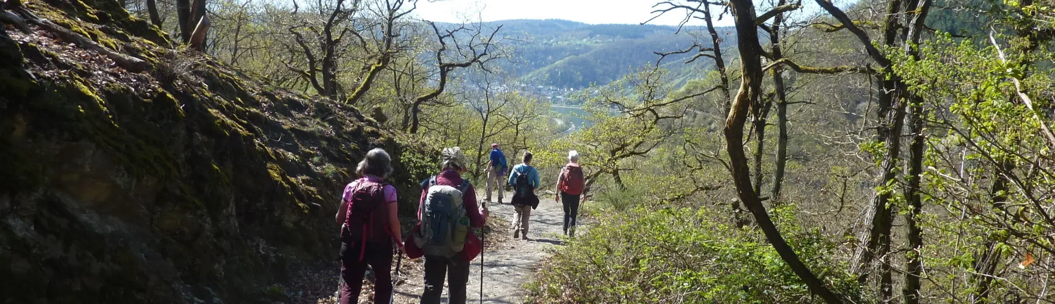 Weg Richtung Rheintal | © DAV Koblenz