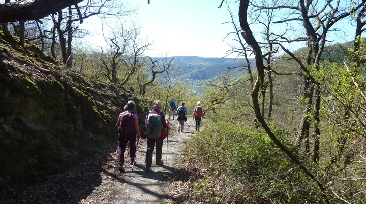 Weg Richtung Rheintal | © DAV Koblenz