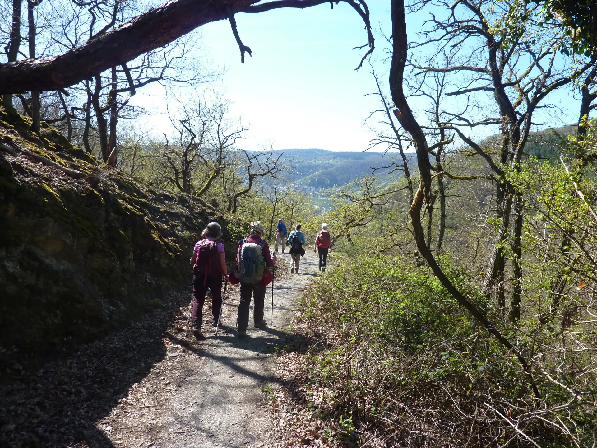 Weg Richtung Rheintal | © DAV Koblenz
